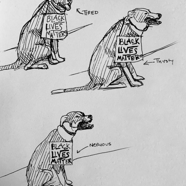 BLM pup