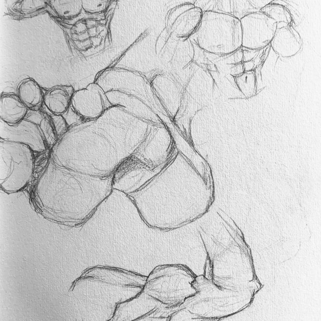 body sketches